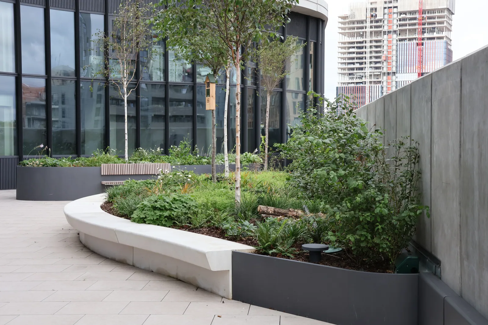 Curved planted beds, young trees and seating beside the glazed façade at 2 Trafalgar Way.