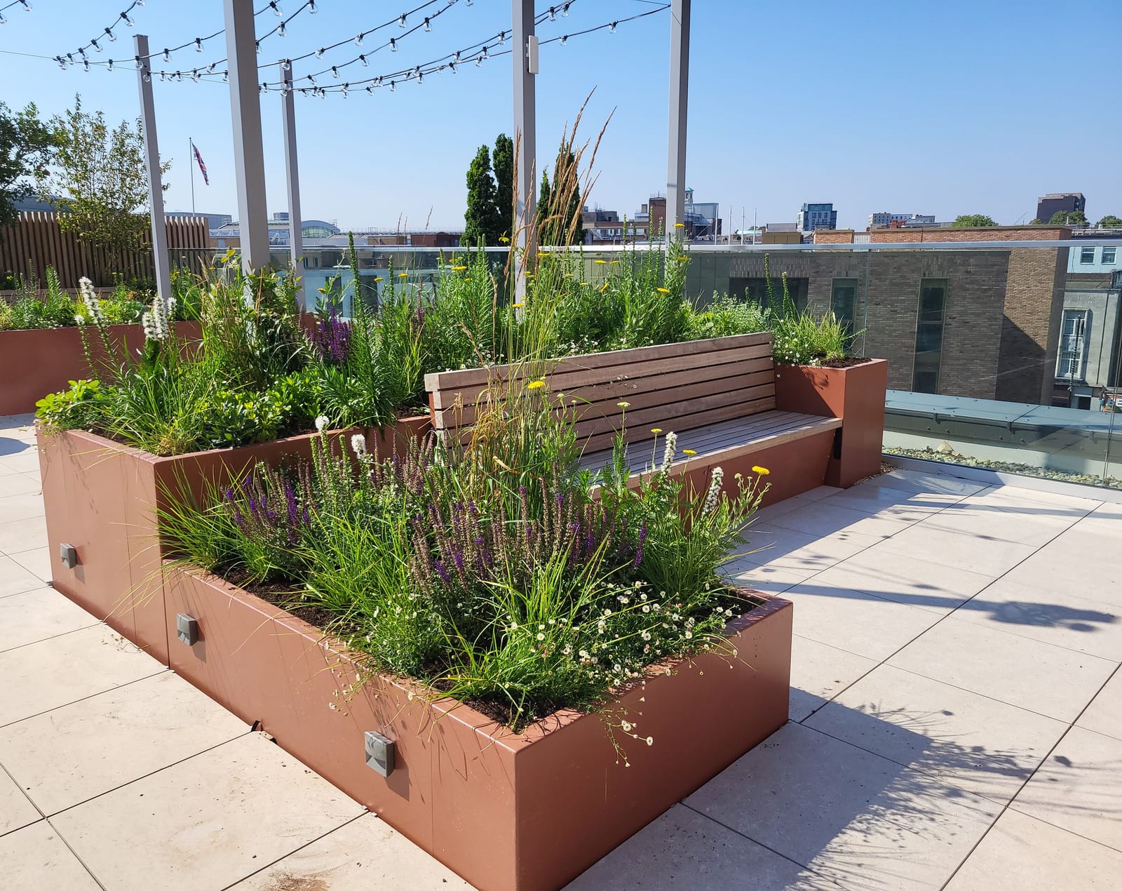 Flowering plants and grasses in raised planters surrounding a timber bench on the roof terrace.