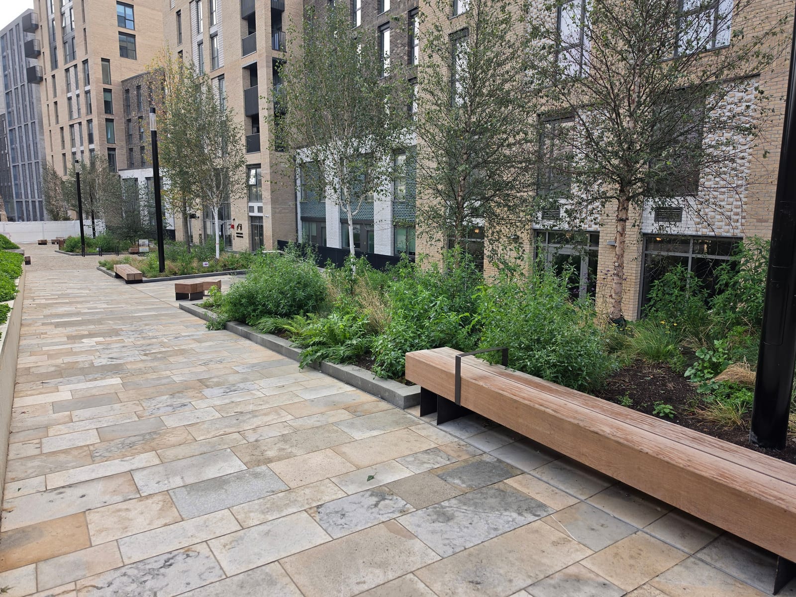 Trees and planted beds beside residential buildings and a paved walkway at Bargate Quarter.