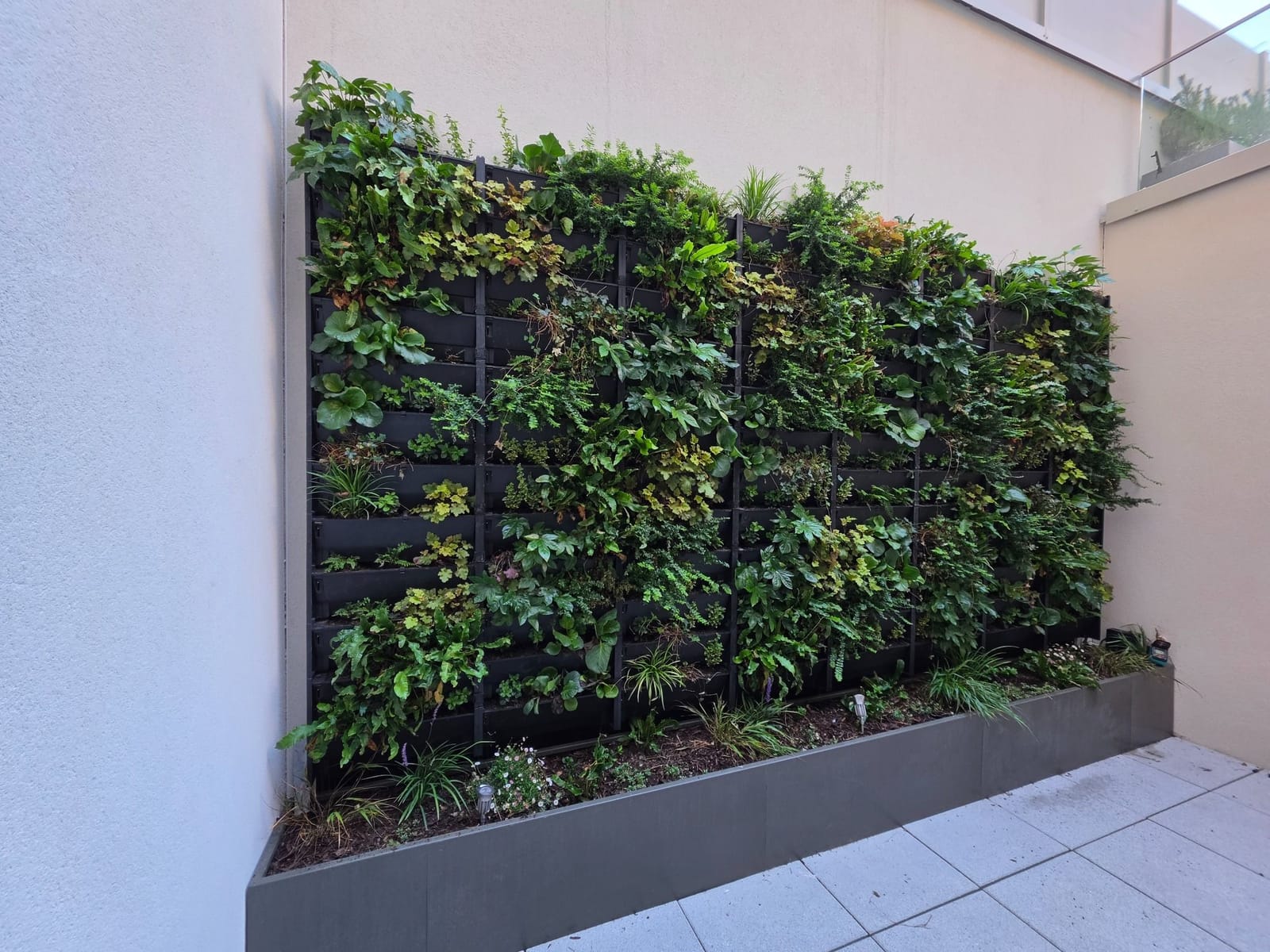 A living wall with mixed planting in black modules above a long raised planter at Fulham Reach.