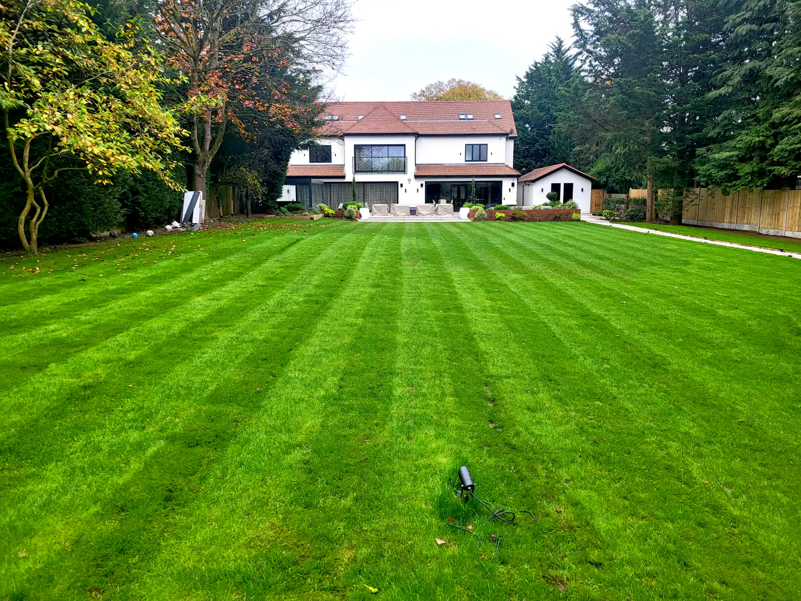 Large residential lawn with a house and planted borders beyond